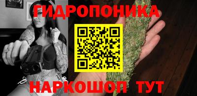 спайс Кимры