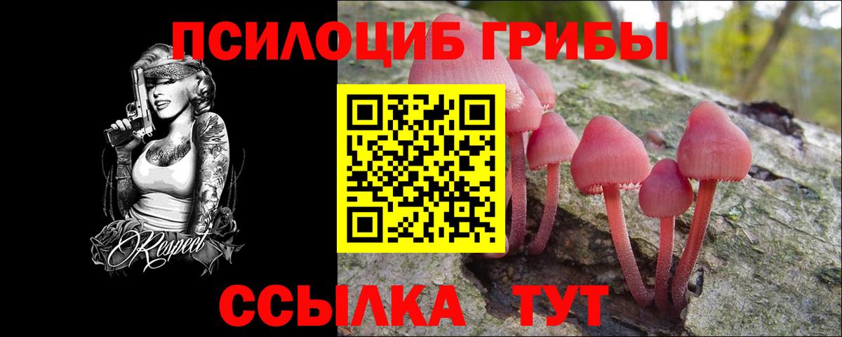 Псилоцибиновые грибы GOLDEN TEACHER Королёв